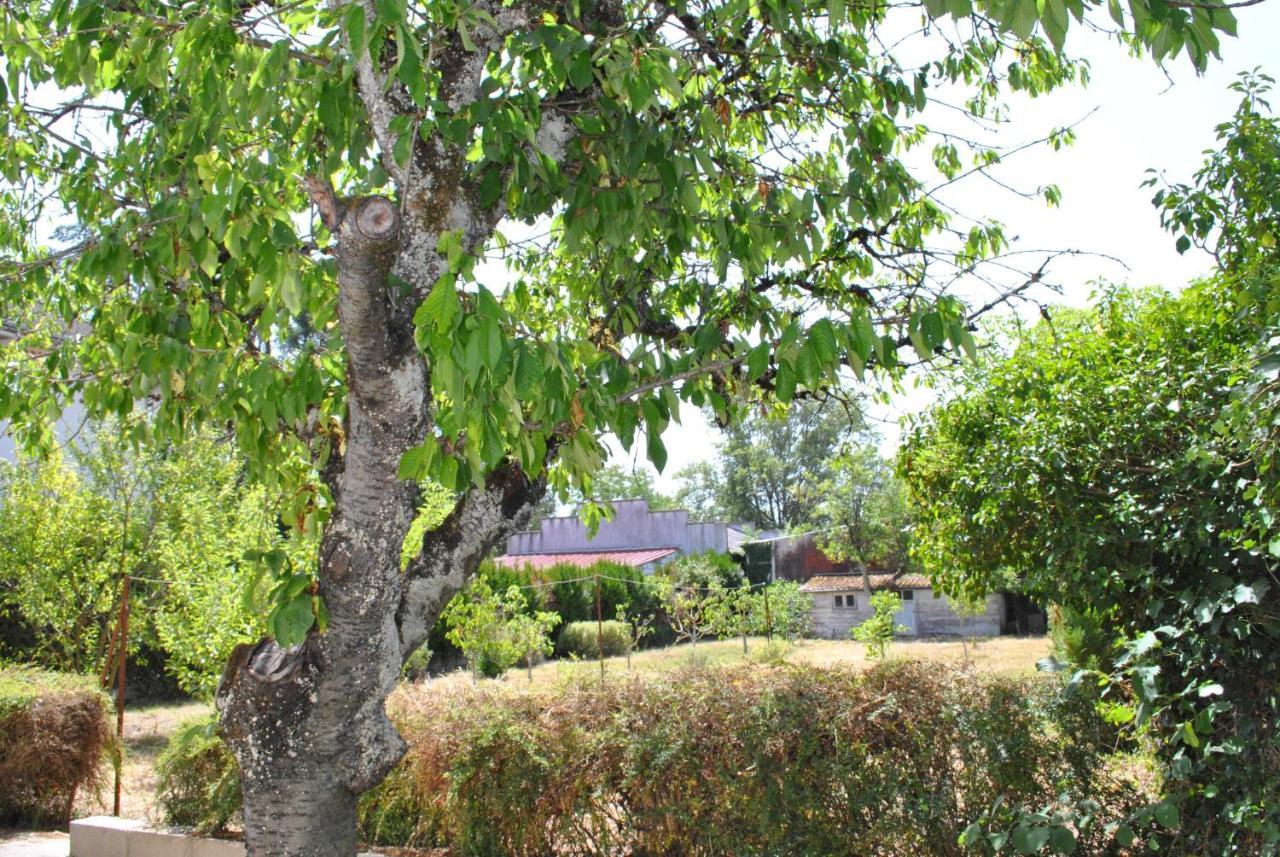 Villa Maison 6 Personnes - Grand Jardin Arbore Noyers-sur-Cher Exterior foto